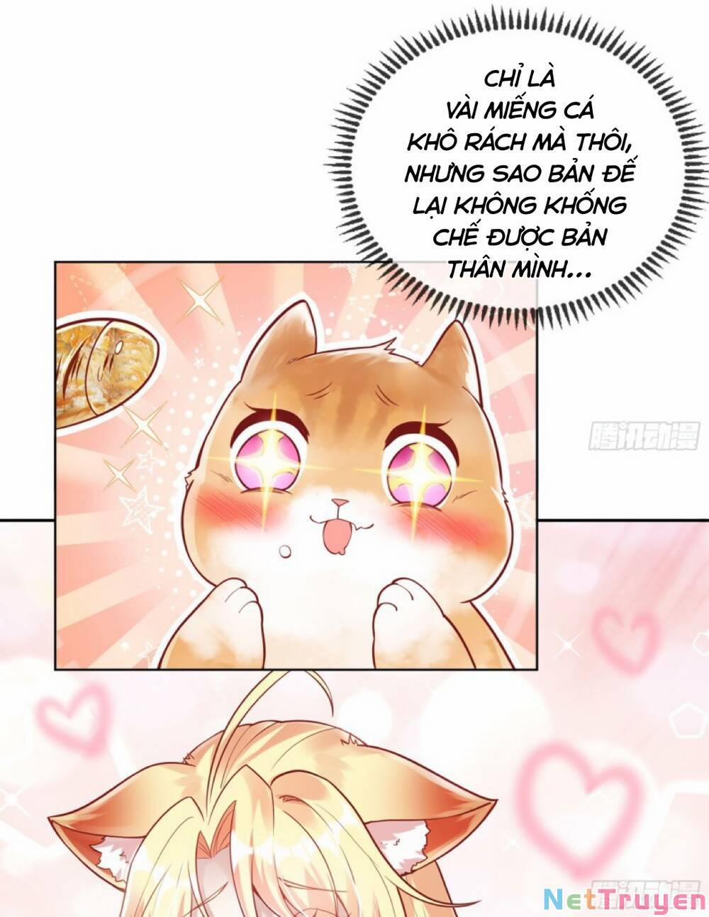 Thần Cấp Khế Ước : Bắt Đầu Với Một Con Mèo 2 trang 26