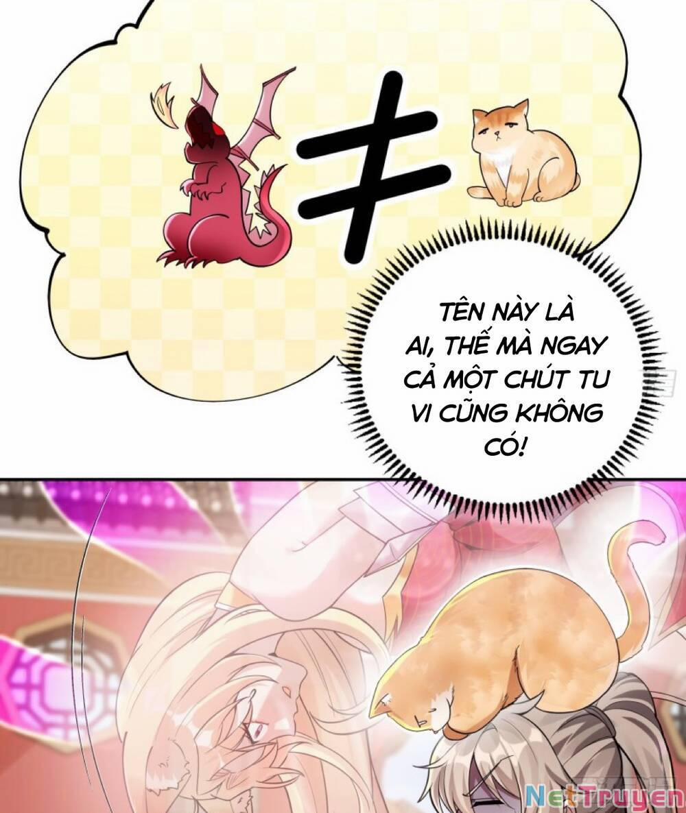 Thần Cấp Khế Ước : Bắt Đầu Với Một Con Mèo 2 trang 4