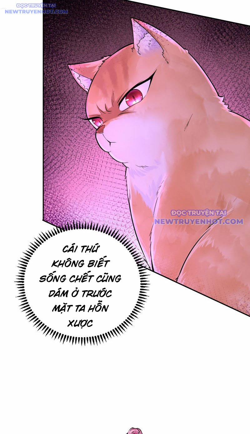 Thần Cấp Khế Ước : Bắt Đầu Với Một Con Mèo 3 trang 6