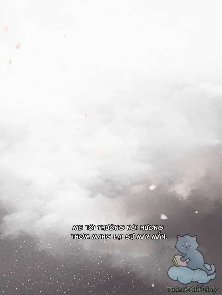 Thân Phận Mới Của Ellin Là Solhwa 1 trang 2