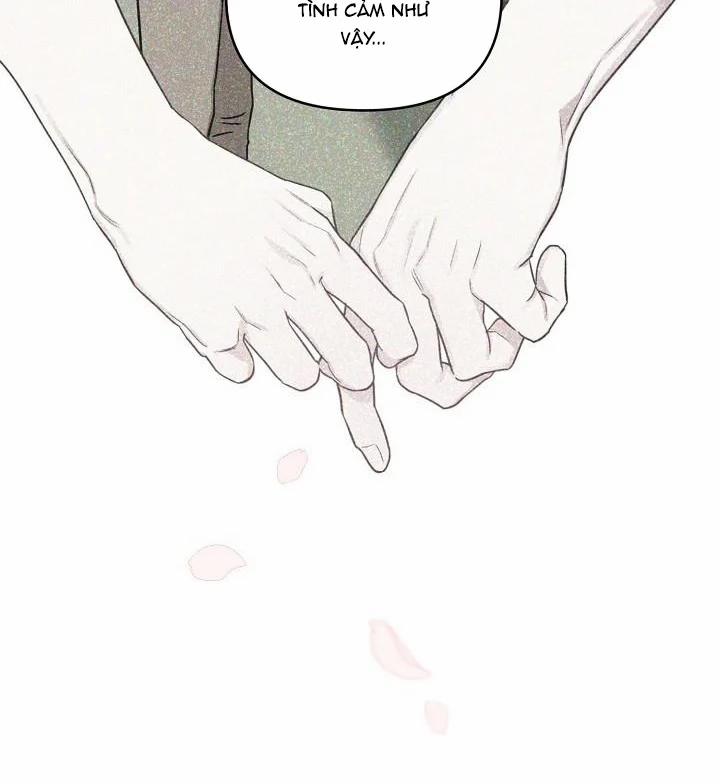 Thần Tượng Đến Rồi!? 39 trang 13