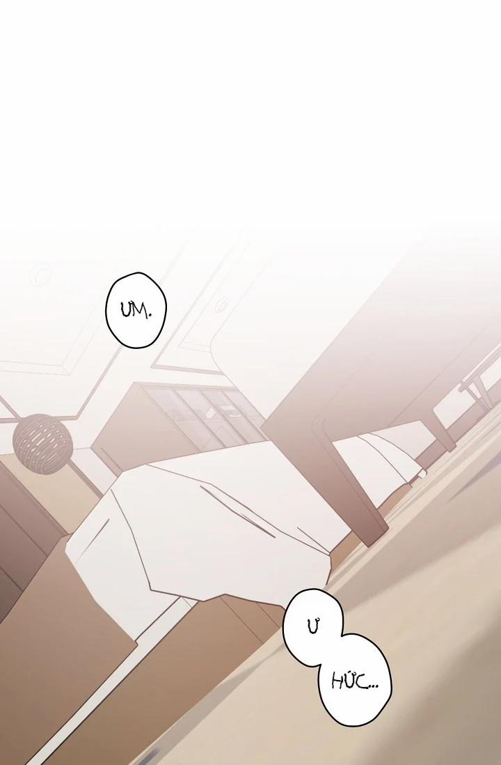 Thần Tượng Đến Rồi!? 9 trang 1