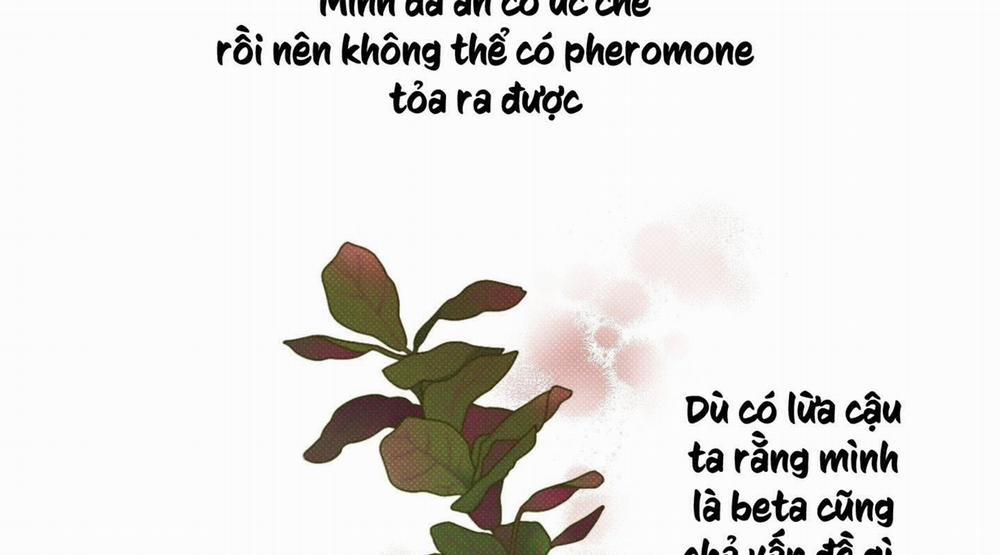 Tháng 12 Của Tôi 1 trang 171