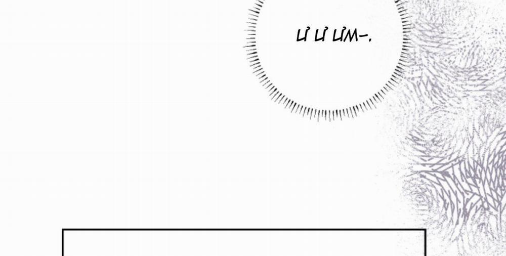 Tháng 12 Của Tôi 11 trang 31