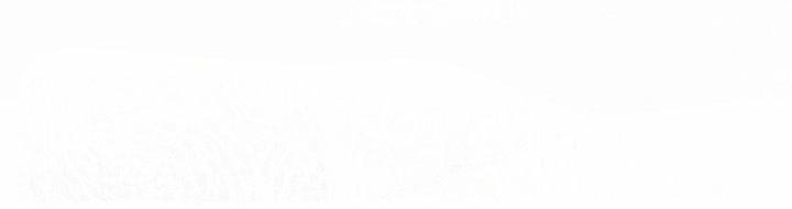 Tháng 12 Của Tôi 13 trang 97