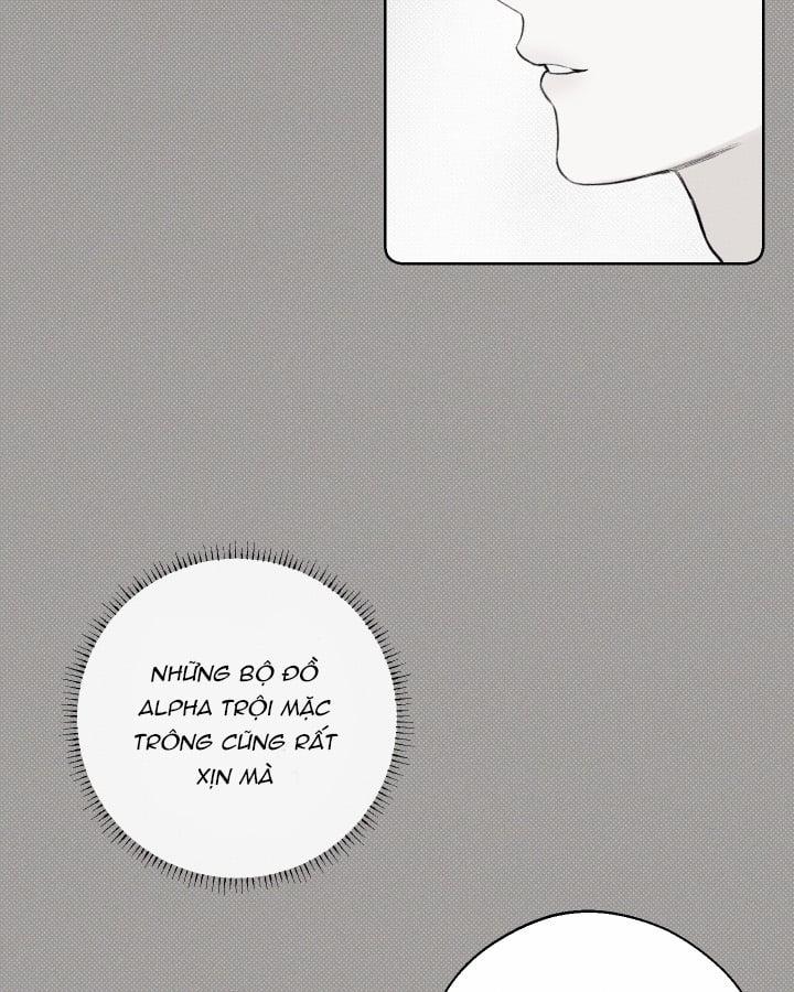 Tháng 12 Của Tôi 15 trang 13