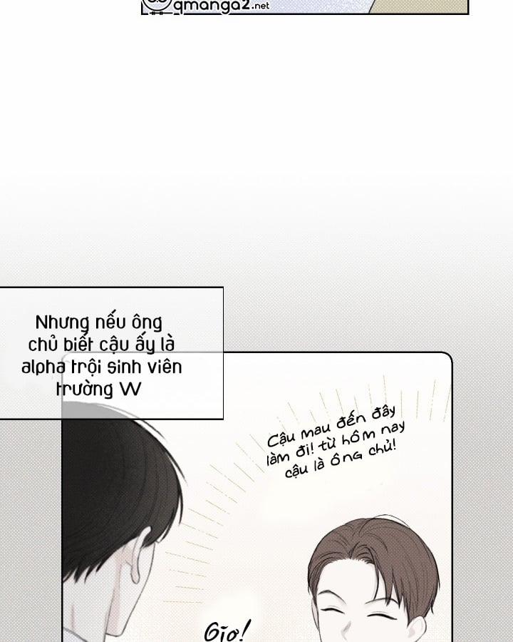 Tháng 12 Của Tôi 15 trang 22