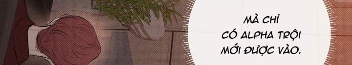 Tháng 12 Của Tôi 16 trang 131