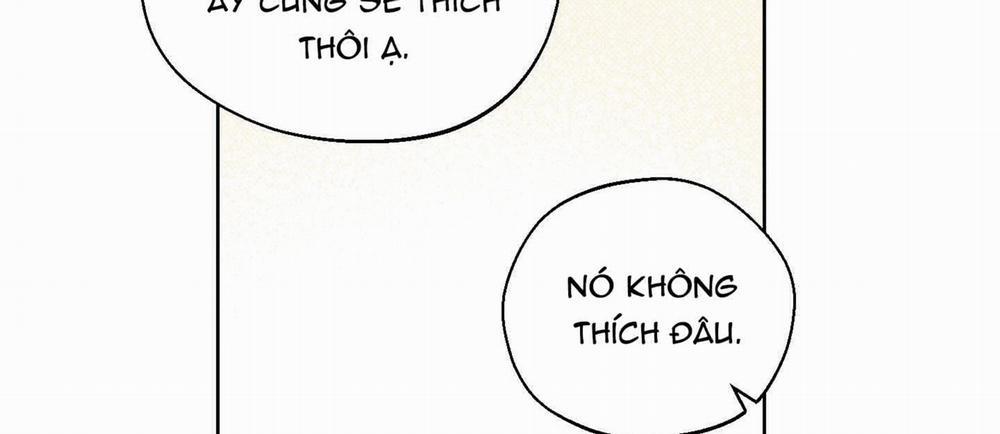Tháng 12 Của Tôi 18 trang 146