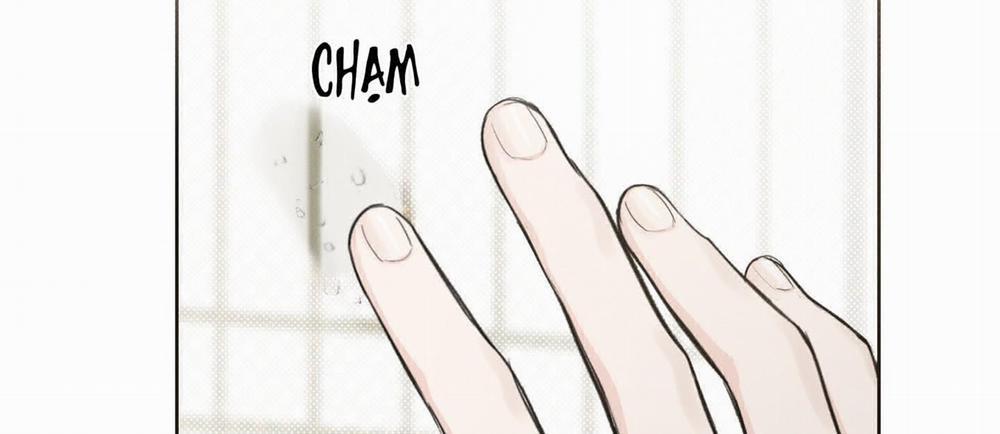 Tháng 12 Của Tôi 18 trang 41