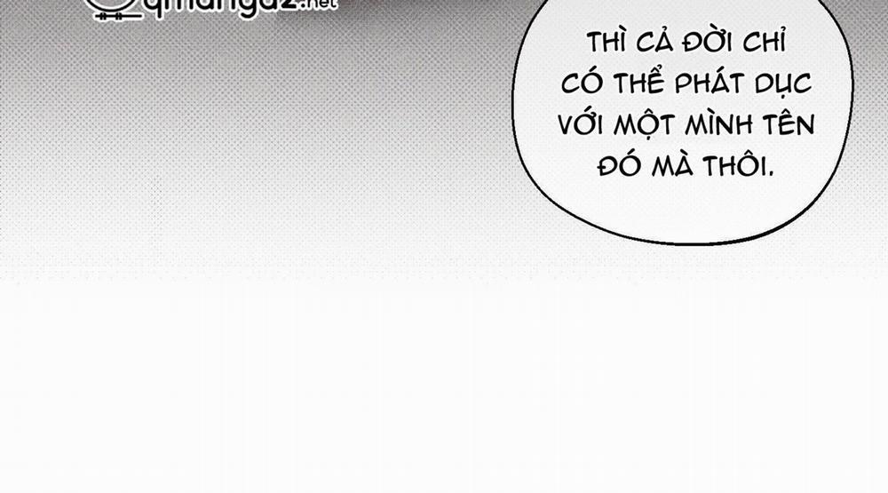 Tháng 12 Của Tôi 2 trang 31