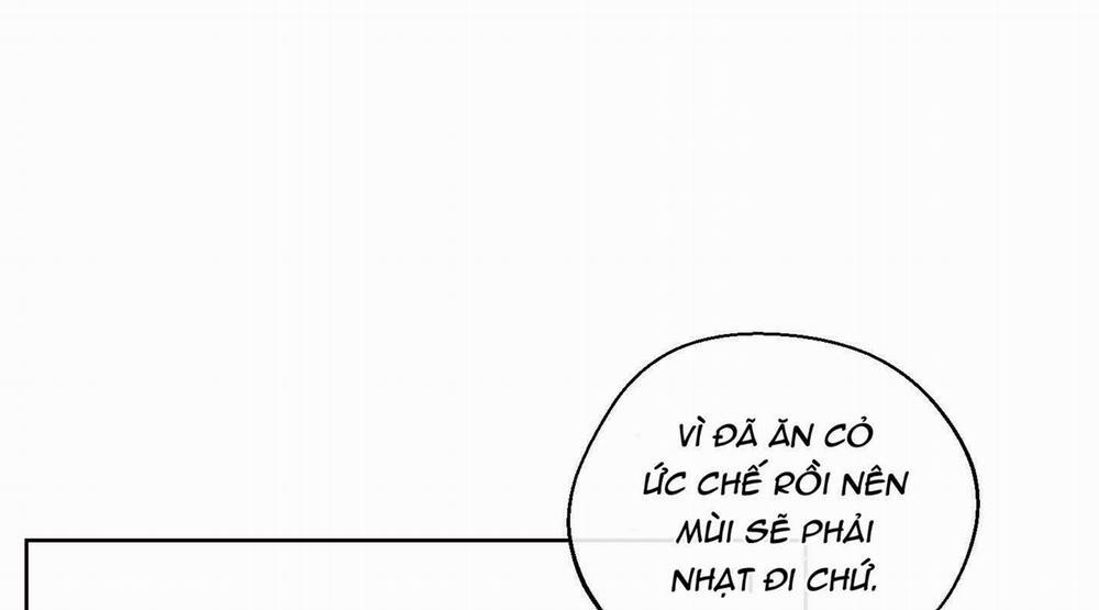 Tháng 12 Của Tôi 2 trang 84