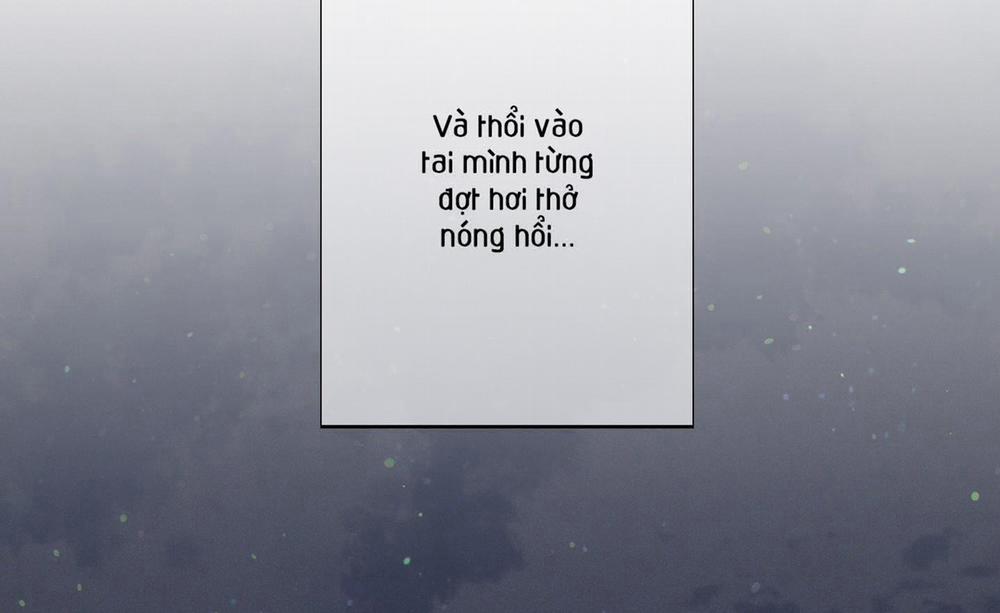 Tháng 12 Của Tôi 24 trang 84