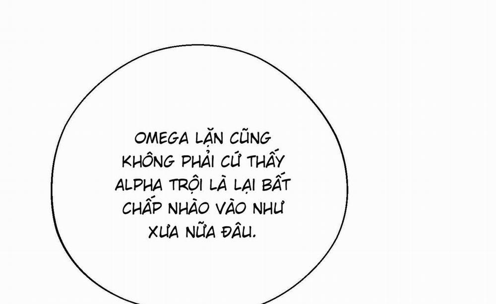 Tháng 12 Của Tôi 25 trang 33