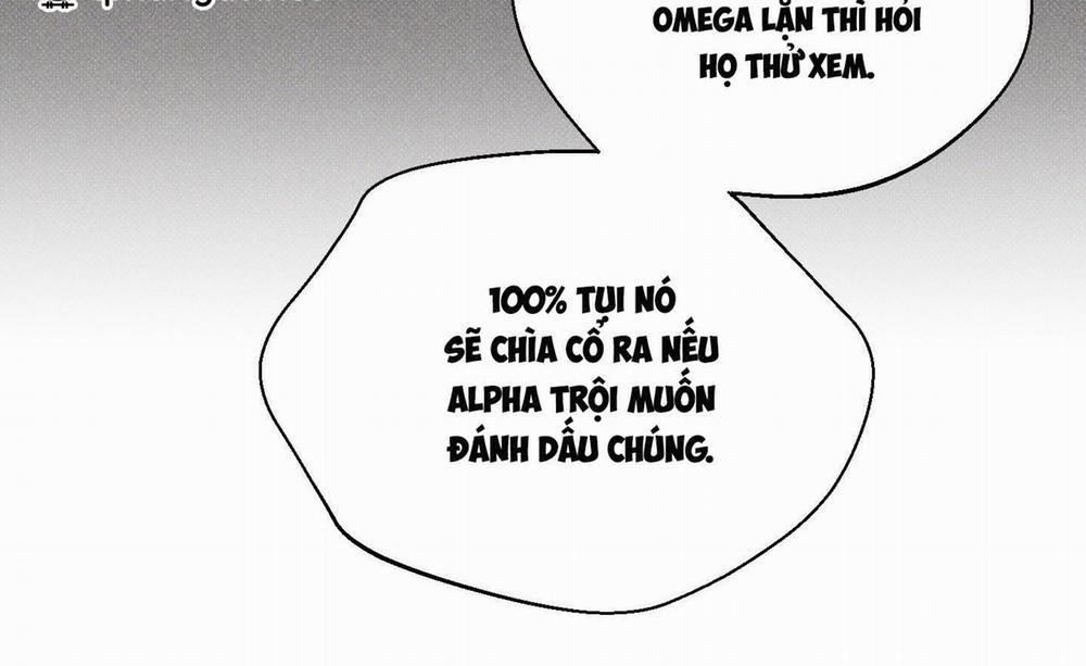 Tháng 12 Của Tôi 25 trang 41