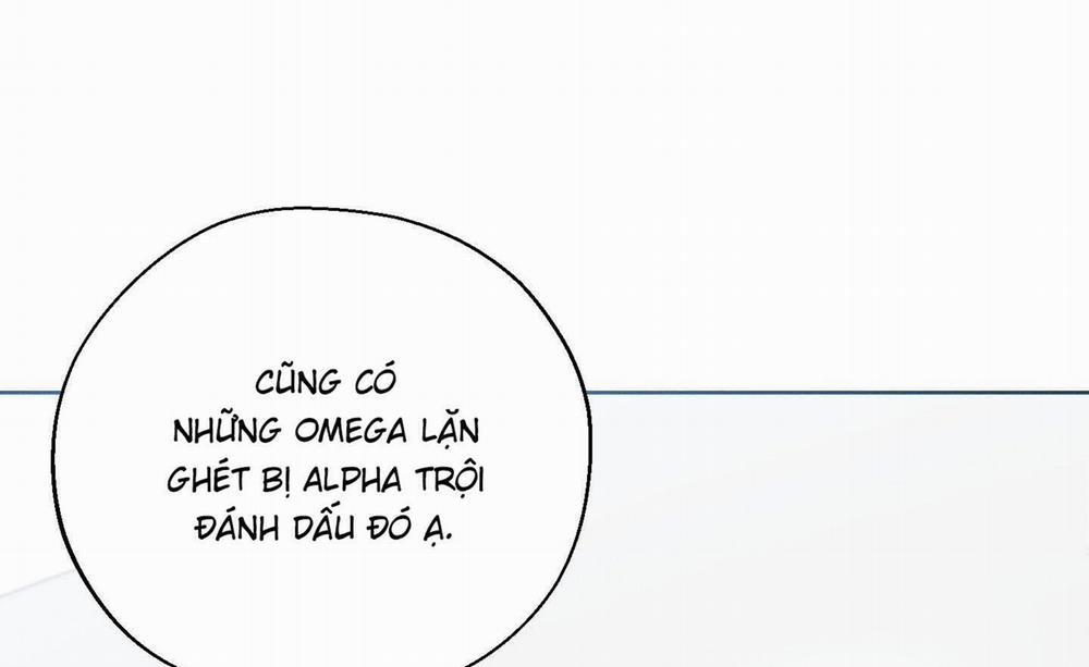 Tháng 12 Của Tôi 25 trang 47