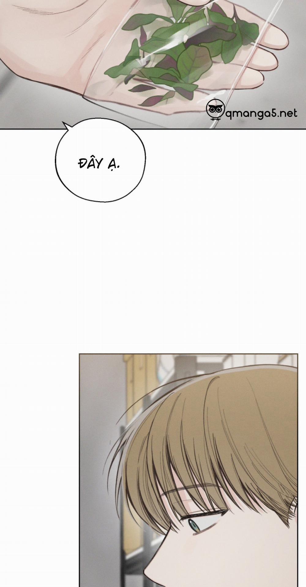 Tháng 12 Của Tôi 26 trang 26