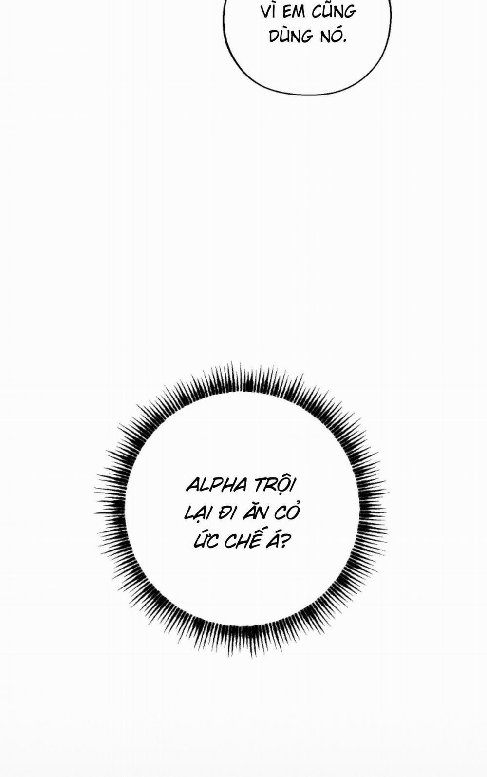 Tháng 12 Của Tôi 26 trang 33