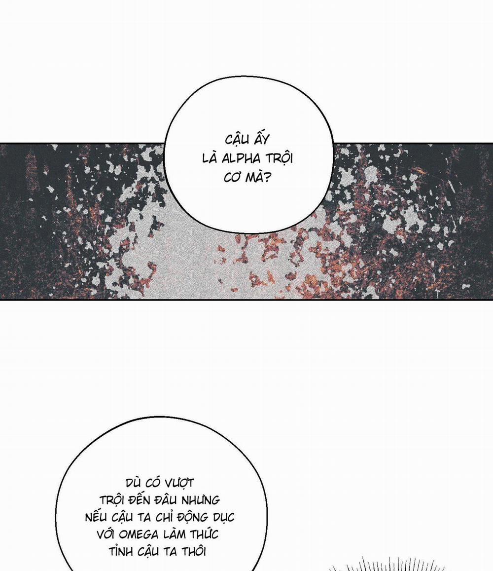 Tháng 12 Của Tôi 29 trang 14