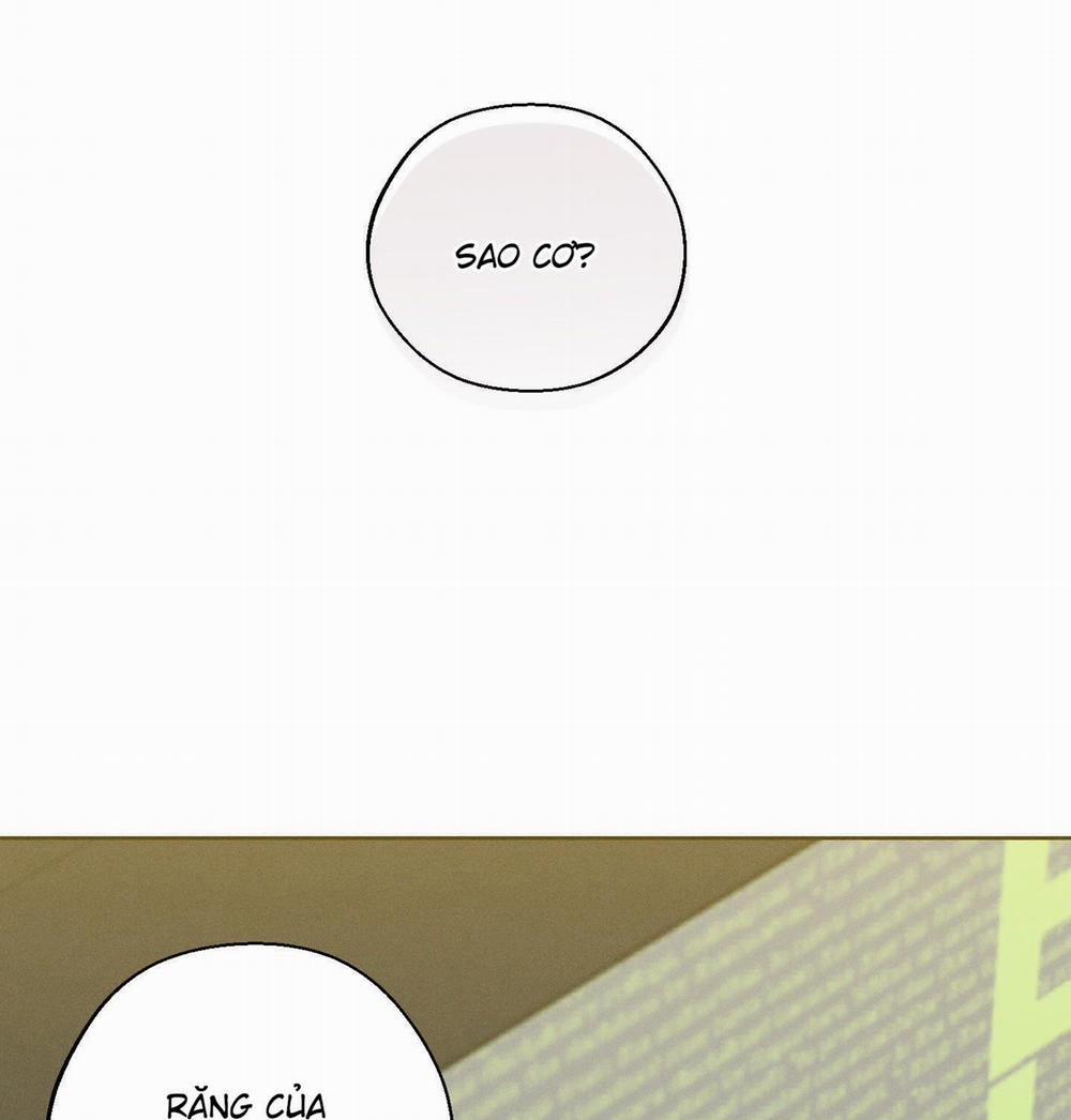 Tháng 12 Của Tôi 29 trang 81