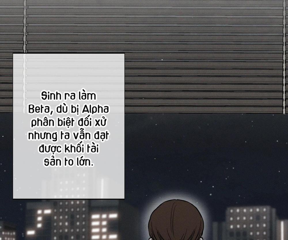 Tháng 12 Của Tôi 31 trang 15