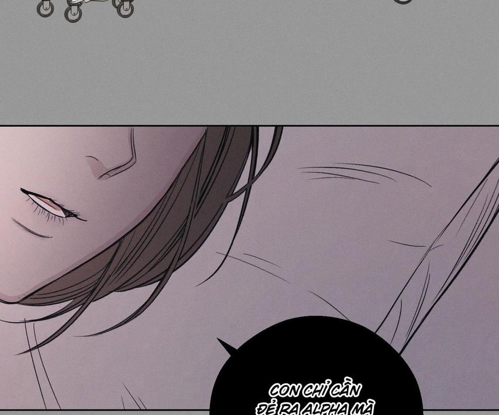 Tháng 12 Của Tôi 31 trang 46