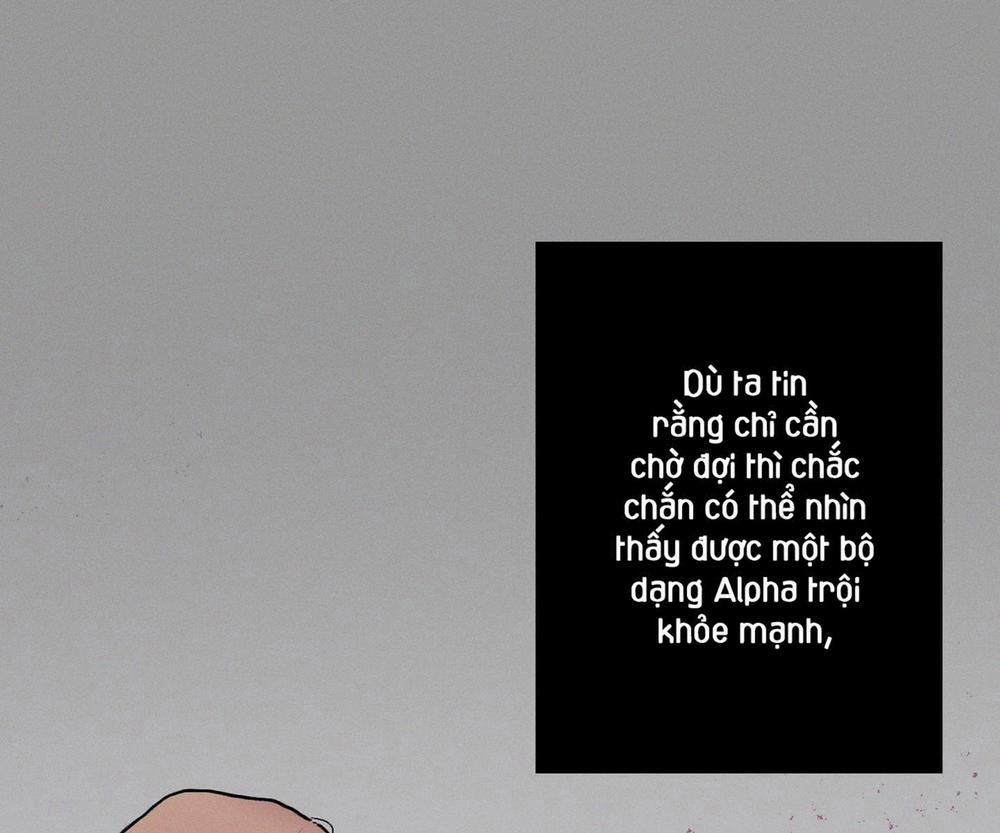 Tháng 12 Của Tôi 31 trang 94