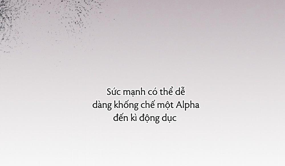 Tháng 12 Của Tôi 33 trang 163