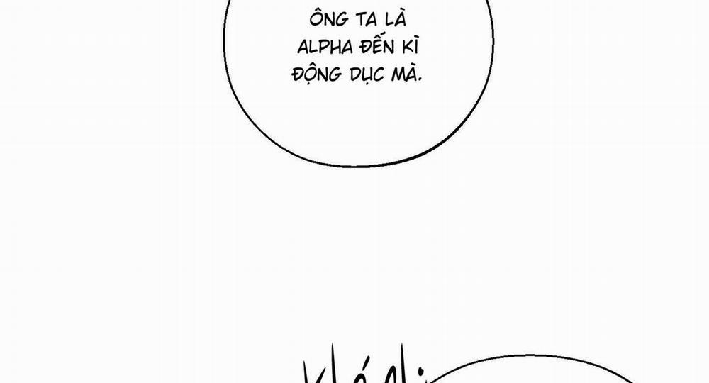 Tháng 12 Của Tôi 34 trang 44