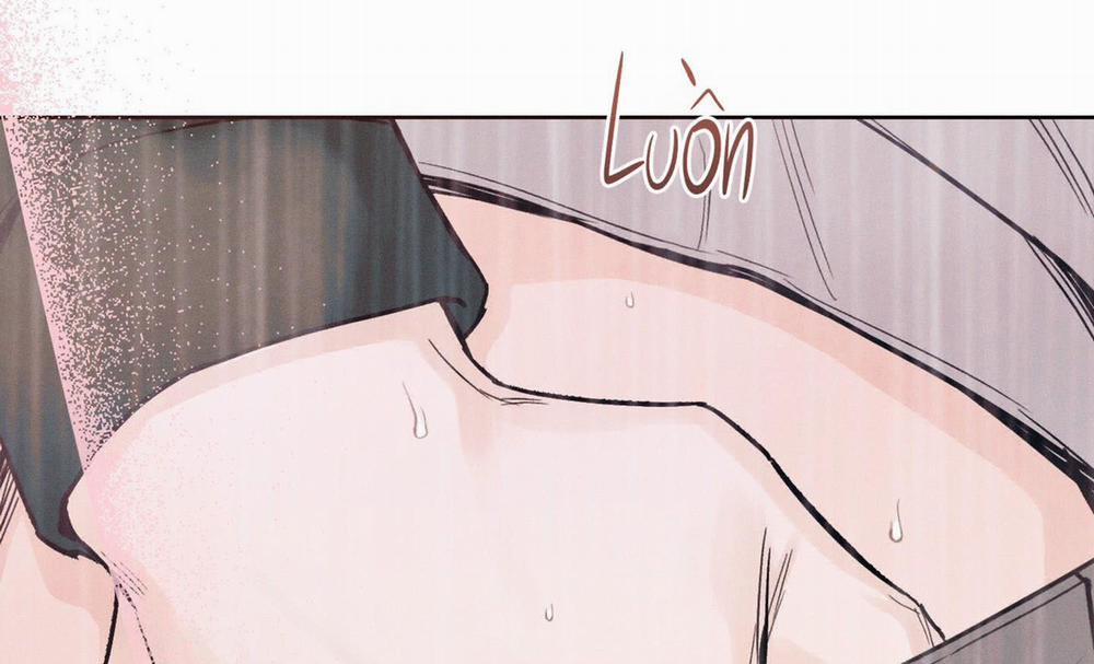 Tháng 12 Của Tôi 36 trang 161