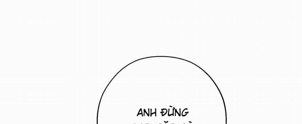 Tháng 12 Của Tôi 37 trang 197