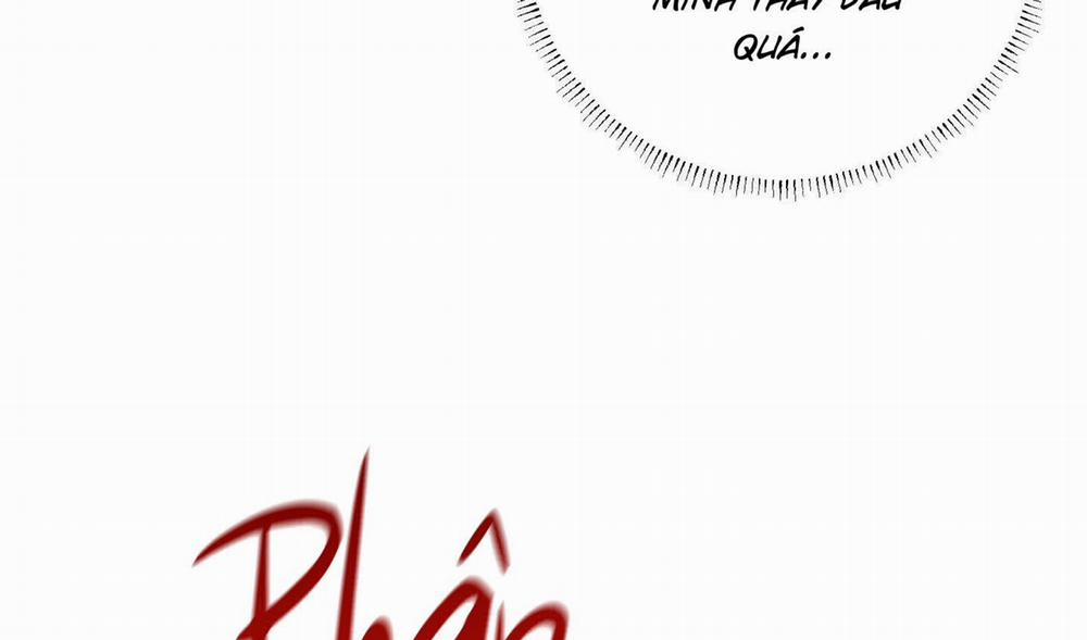 Tháng 12 Của Tôi 37 trang 74