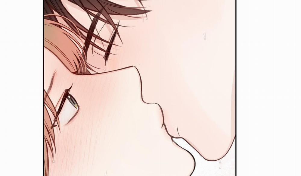 Tháng 12 Của Tôi 38 trang 16