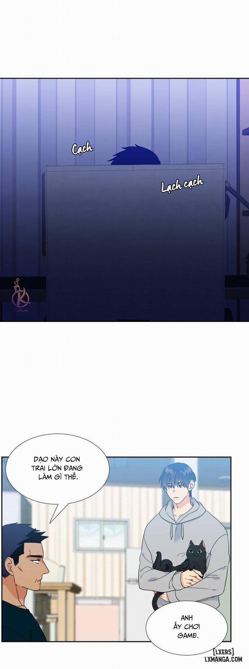 Thăng cấp tình yêu 53 trang 11