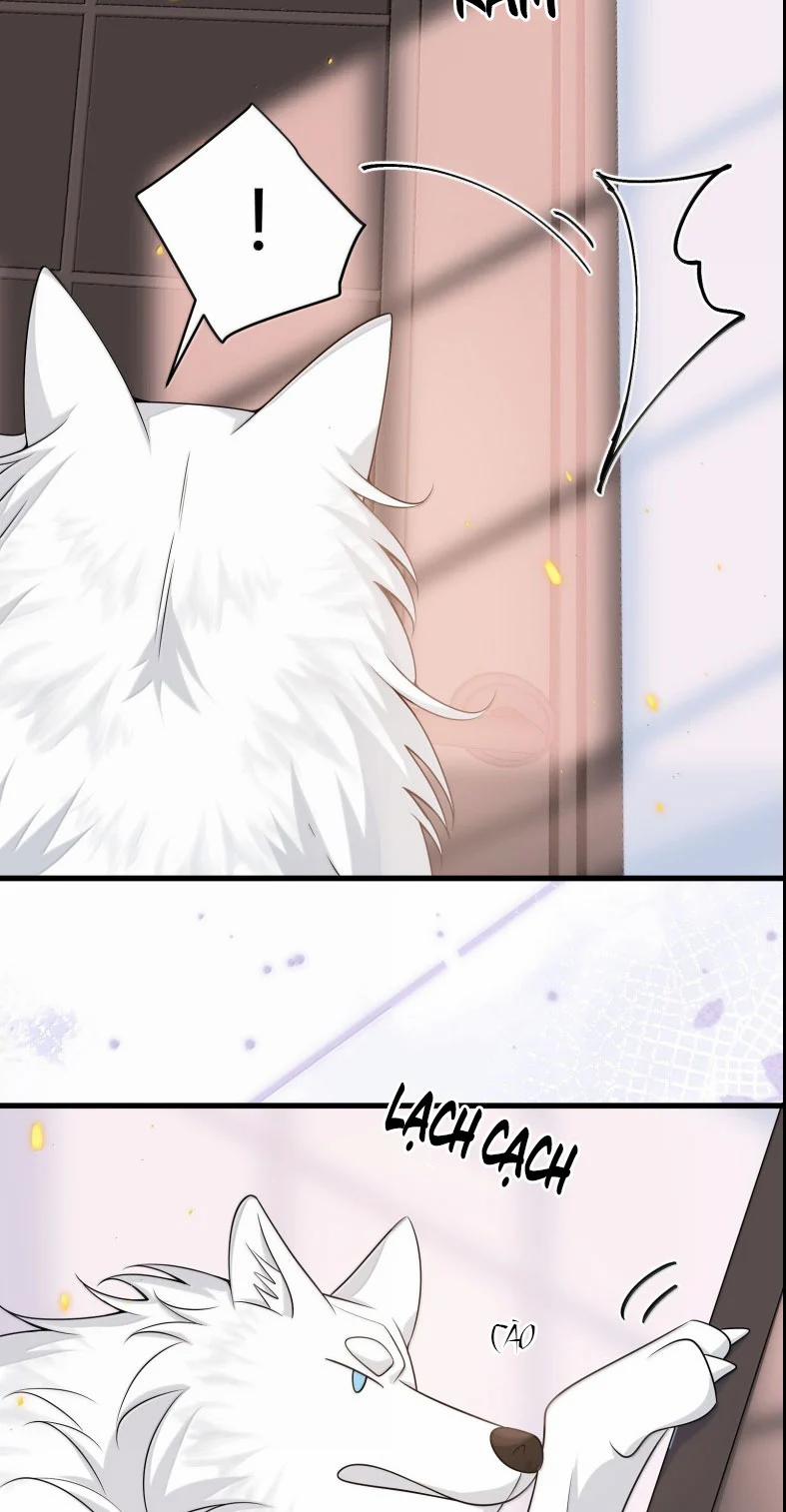 Thẳng Thắn Từ Nghiêm 139 trang 8