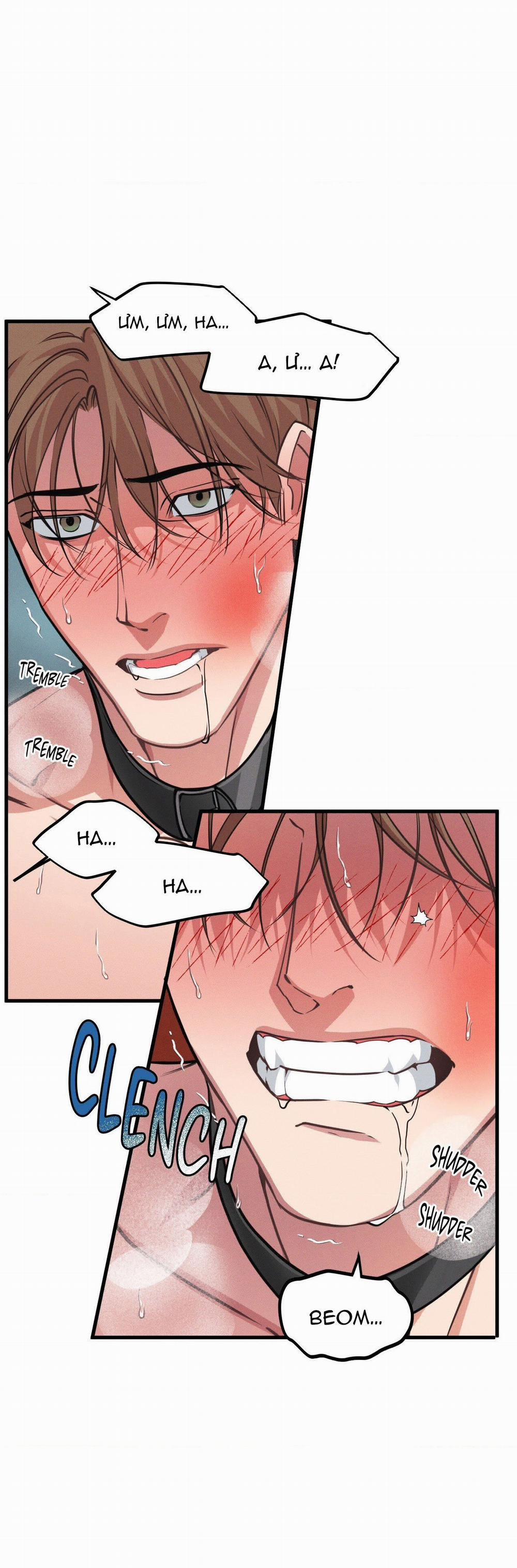 Thanh Âm Cực Đại 123.1 trang 14