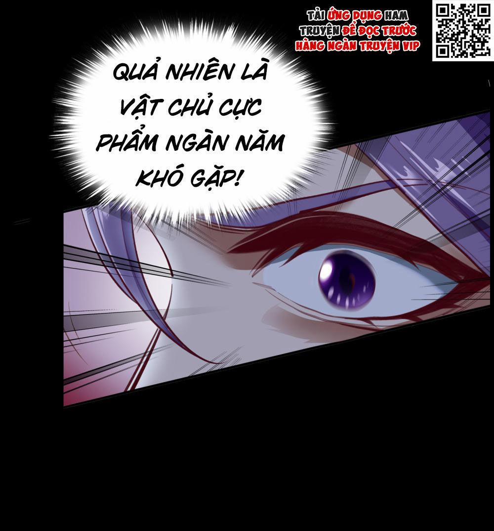 Thanh Đế Truyện 65 trang 1