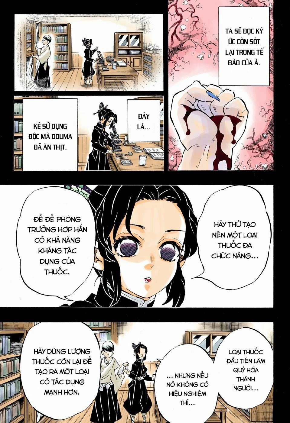Thanh Gươm Diệt Quỷ 193 trang 17