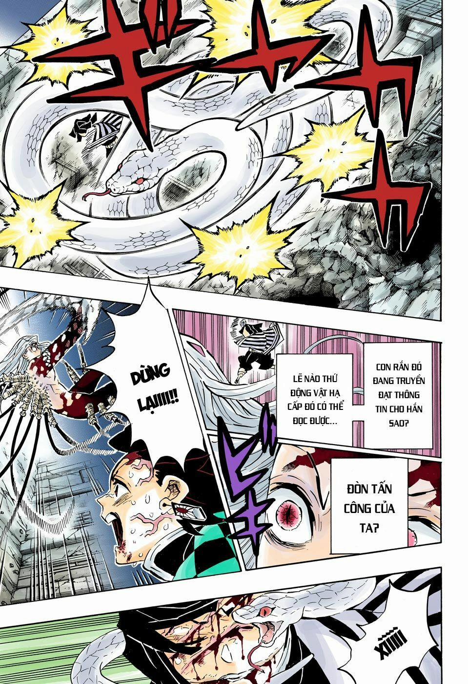 Thanh Gươm Diệt Quỷ 194 trang 17