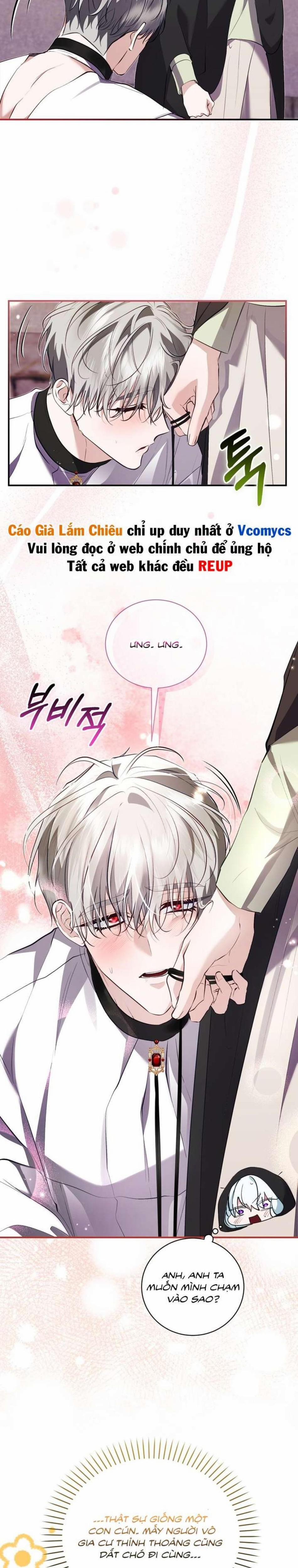 Thánh Nữ Giả Mạo Trong Game Harem Ngược 19 trang 3