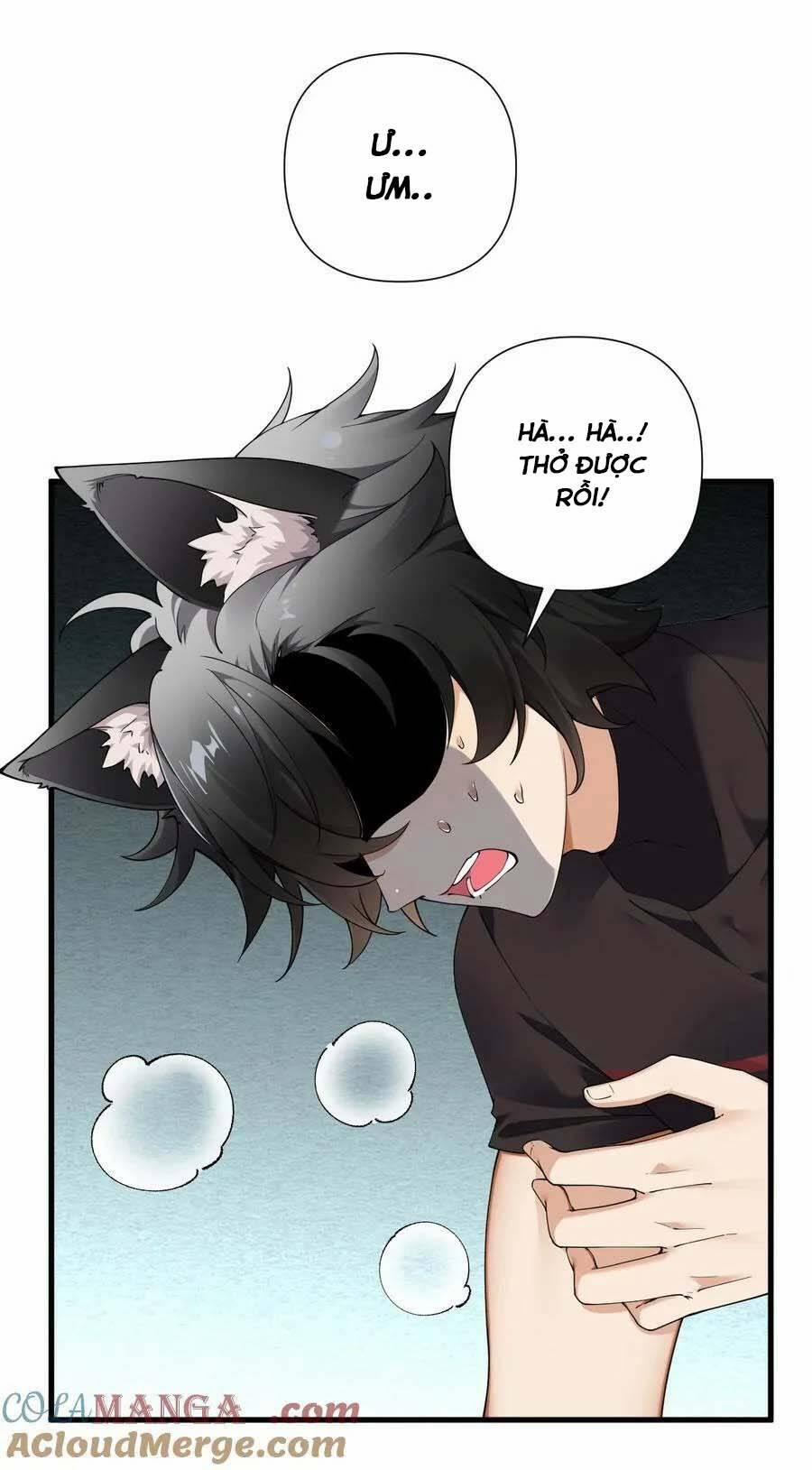 Thánh Nữ, Xin Hãy Dừng Ngay Những Trò Quái Đản Của Cô Đi!! 77 trang 4