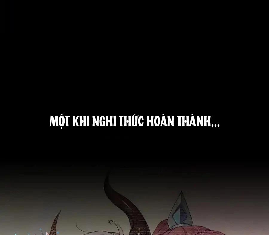 Thánh Nữ, Xin Hãy Dừng Ngay Những Trò Quái Đản Của Cô Đi!! 81 trang 65