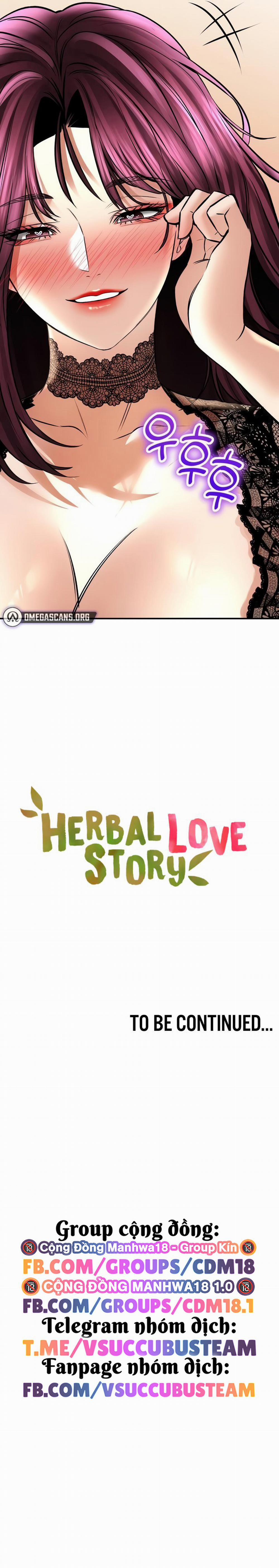 Thảo Dược Mê Tình 55 trang 12