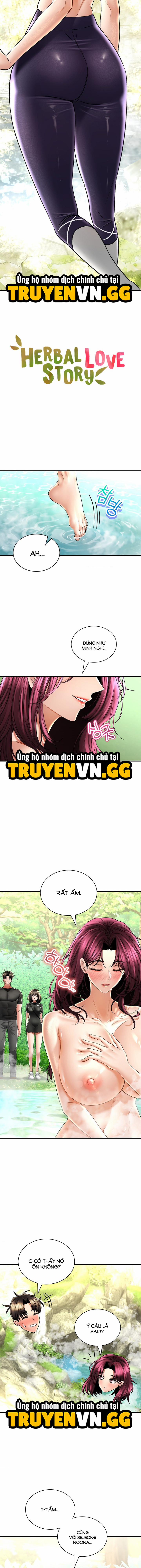 Thảo Dược Mê Tình 62 trang 2