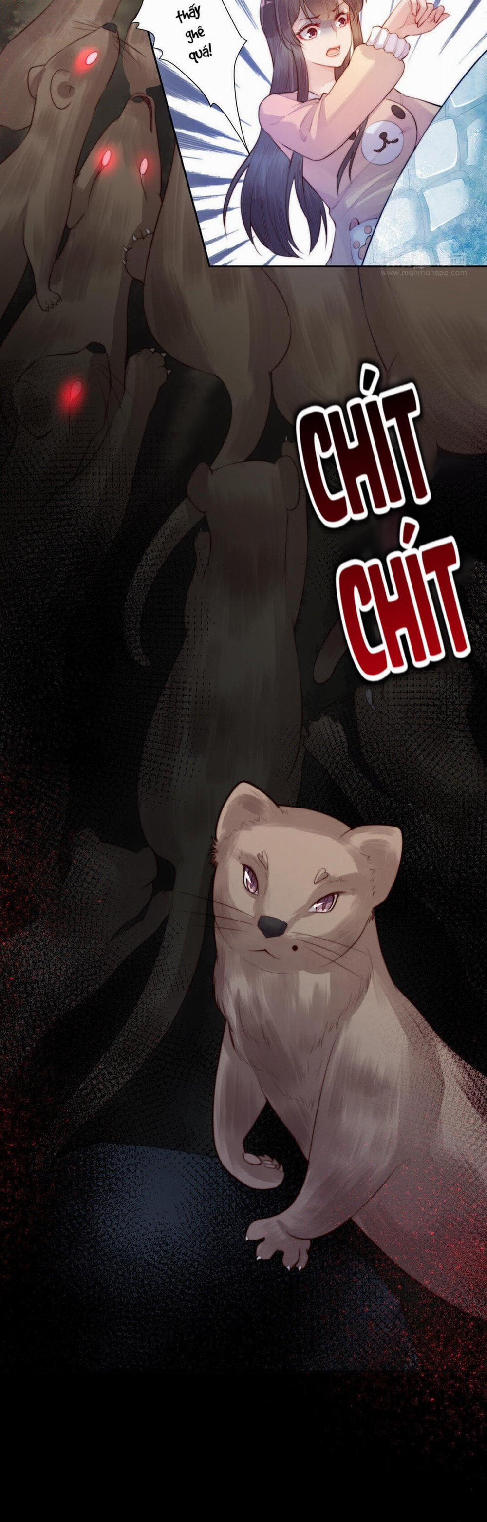 Thập Nguyệt Xà Thai (Mười Tháng Xà Thai) 14 trang 9