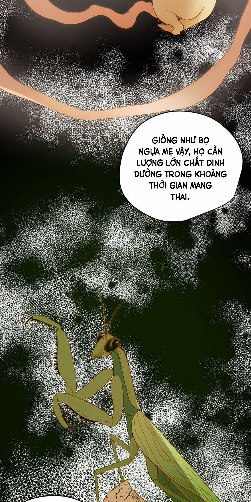 Thất Đại Kỳ Tích – Nước Mắt Bạo Quân 52 trang 45