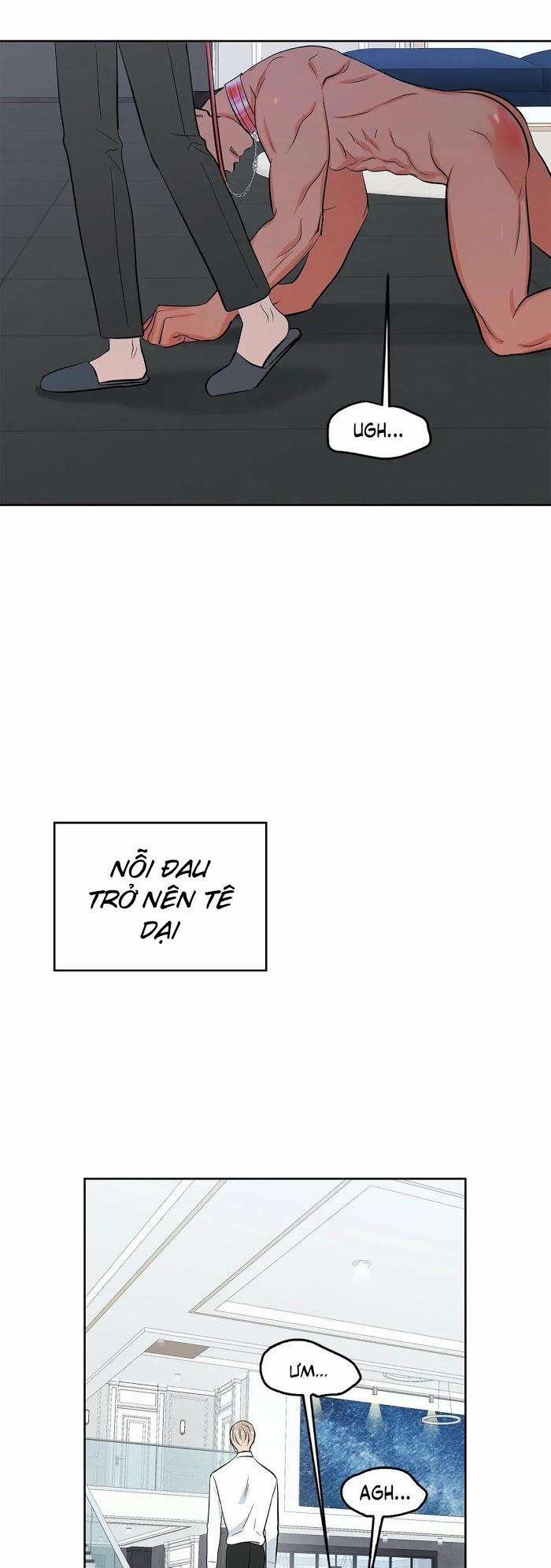 Thầy Giáo Thể Dục M 11.2 trang 15