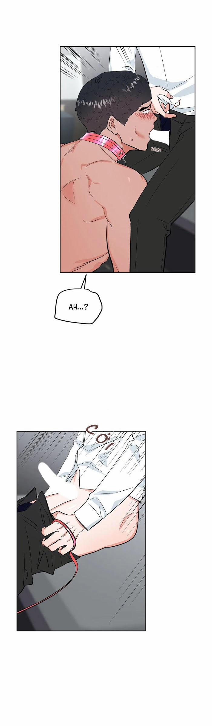 Thầy Giáo Thể Dục M 12 trang 17