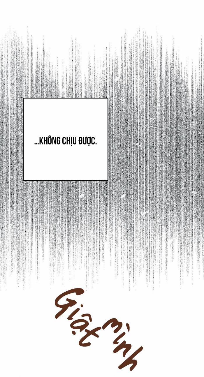 Thầy Giáo Thể Dục M 21 trang 40