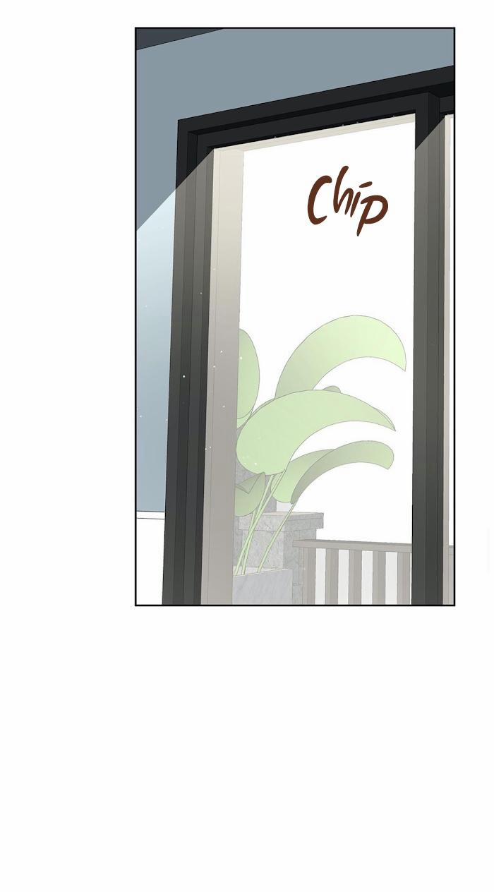 Thầy Giáo Thể Dục M 21 trang 41